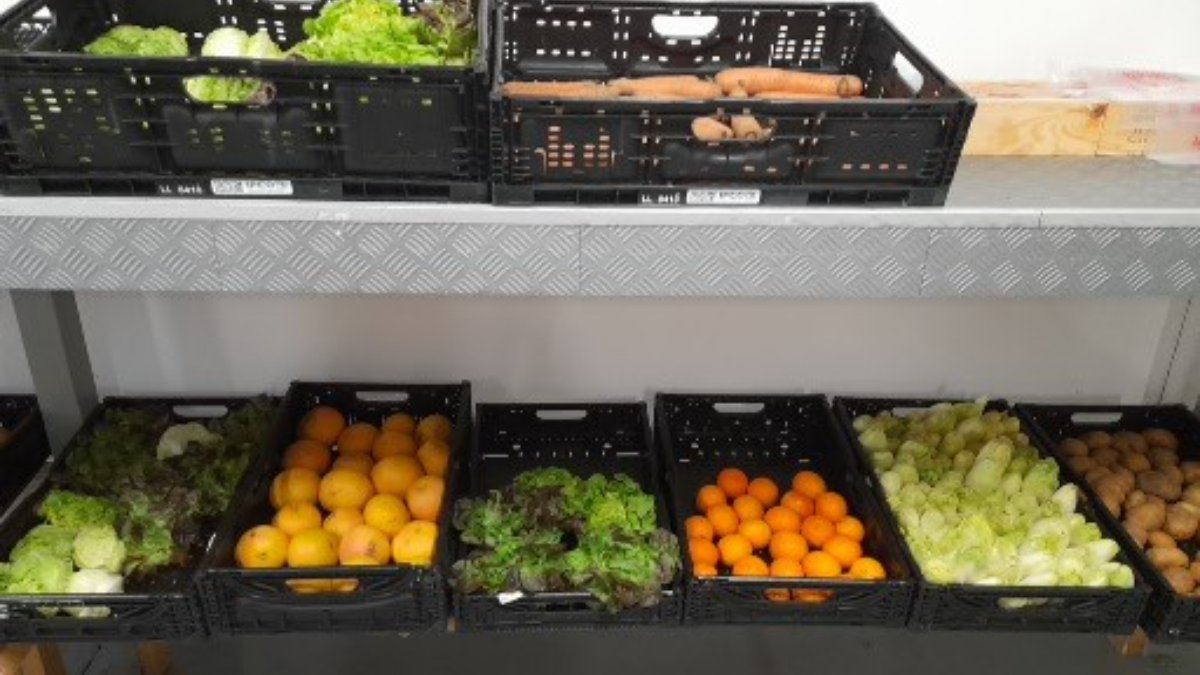 Fruits et légumes frai